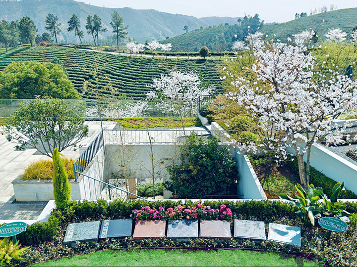 安吉龙山源